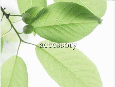 accessory