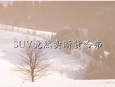 SUVȻϻM6ԱȼԶSUV